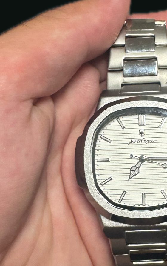 BROVIAN Rio silver in hand